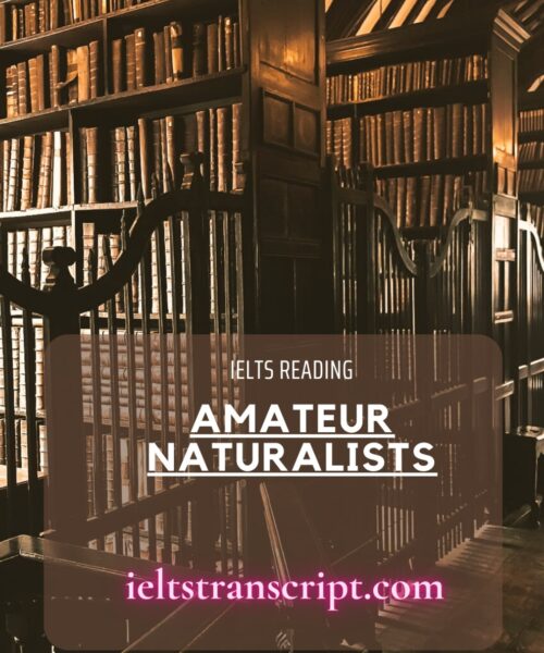 Amateur Naturalists