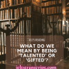 WHAT DO WE MEAN BY BEING “TALENTED” OR “GIFTED”?