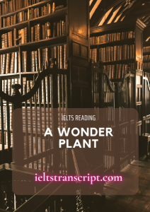 A Wonder Plant