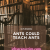 Ants Could Teach Ants