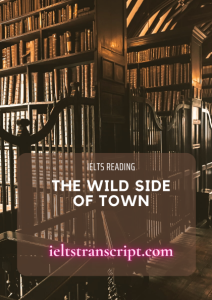 THE WILD SIDE OF TOWN