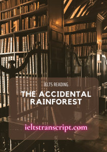 The accidental rainforest