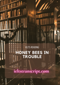 HONEY BEES IN TROUBLE