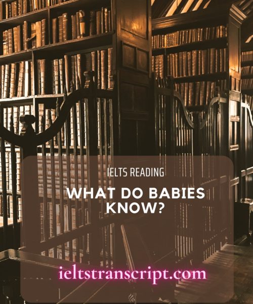 What Do Babies Know