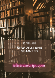 New Zealand Seaweed