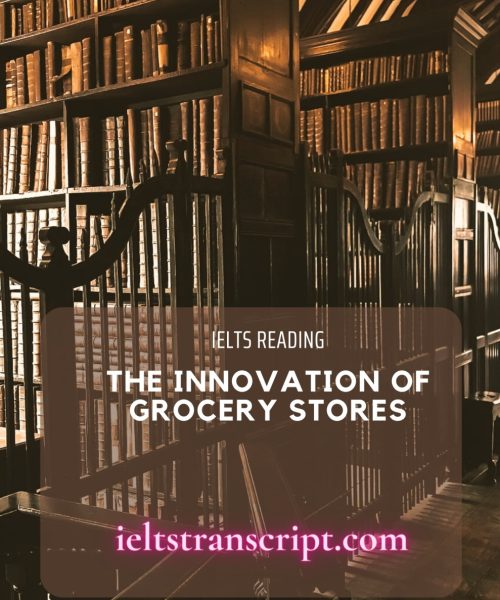The Innovation of Grocery Stores