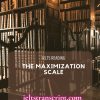The Maximization Scale