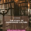The Study of Chimpanzee Culture