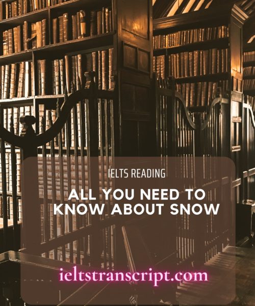 ALL YOU NEED TO KNOW ABOUT SNOW