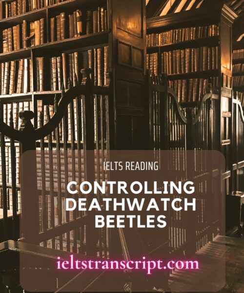 CONTROLLING DEATHWATCH BEETLES