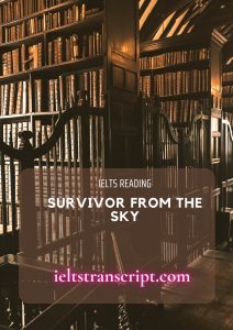 Survivor from the sky