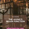 The aging’s brain function