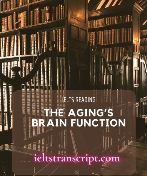 The aging’s brain function