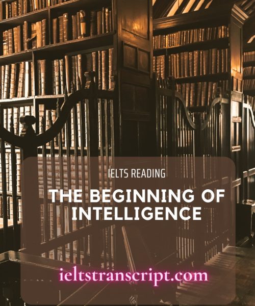 The beginning of intelligence