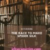 The race to make spider silk