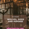 Wolves, dogs and humans