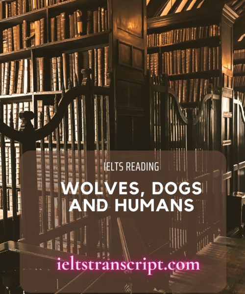 Wolves, dogs and humans